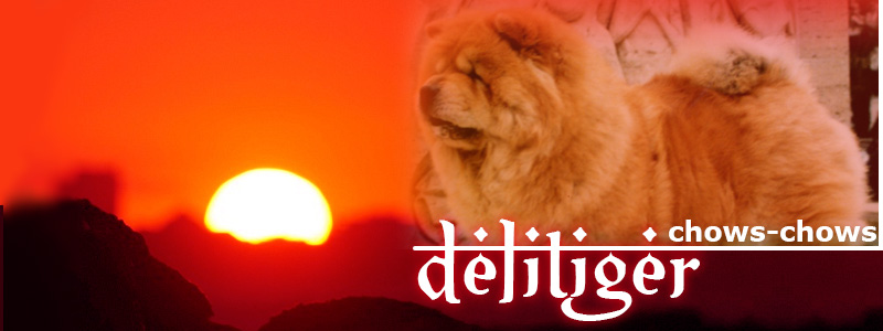 Delitiger Chows